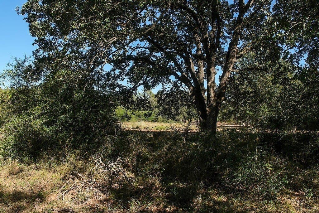 17.02 acres in Washington County - photo 12