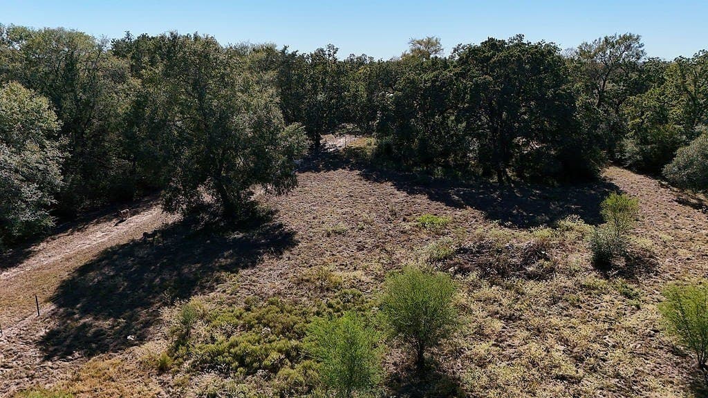 17.02 acres in Washington County - photo 6