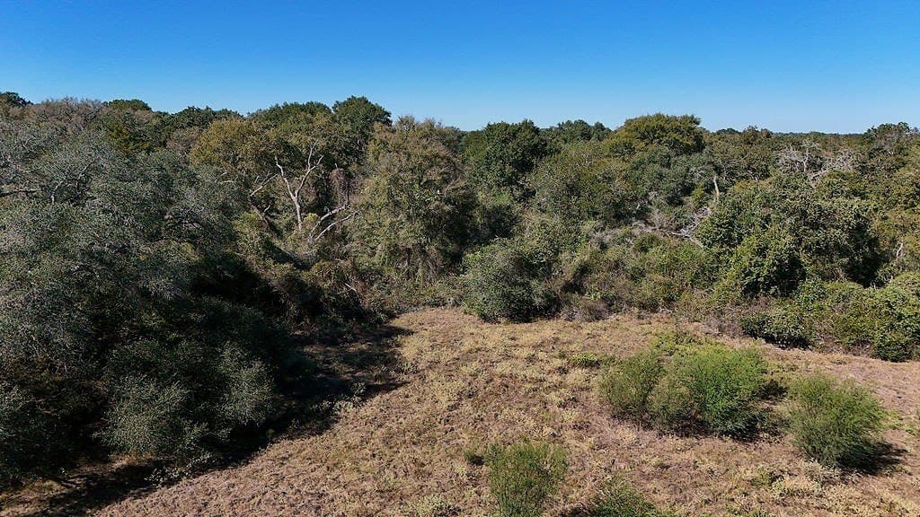 17.02 acres in Washington County - photo 5