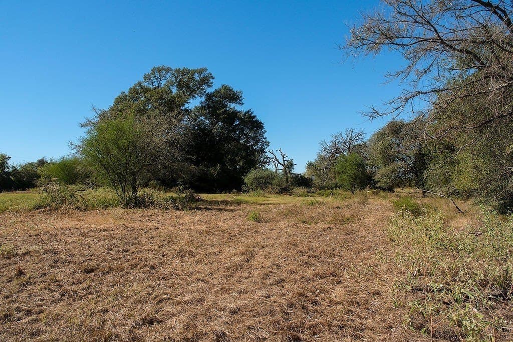 17.02 acres in Washington County - photo 11