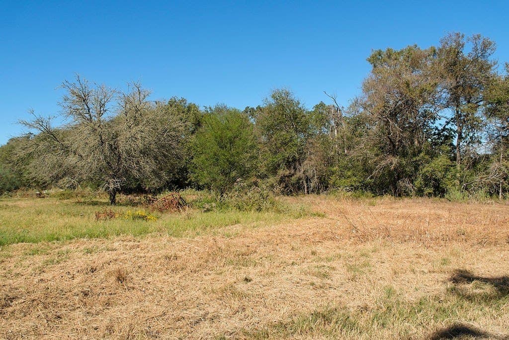 17.02 acres in Washington County - photo 10
