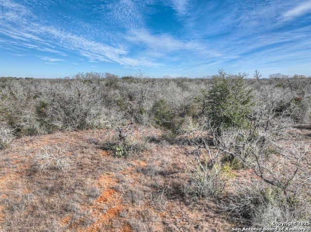 10.28 acres in Guadalupe County - photo 29