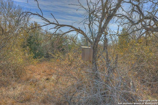 10.28 acres in Guadalupe County - photo 8