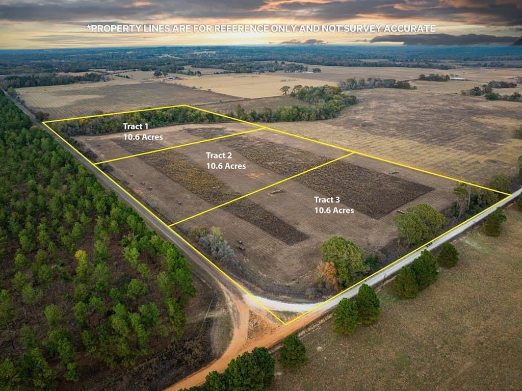 10.6 acres in ANDERSON County - photo 6
