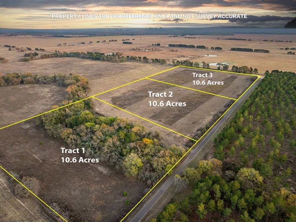 10.6 acres in ANDERSON County - photo 7