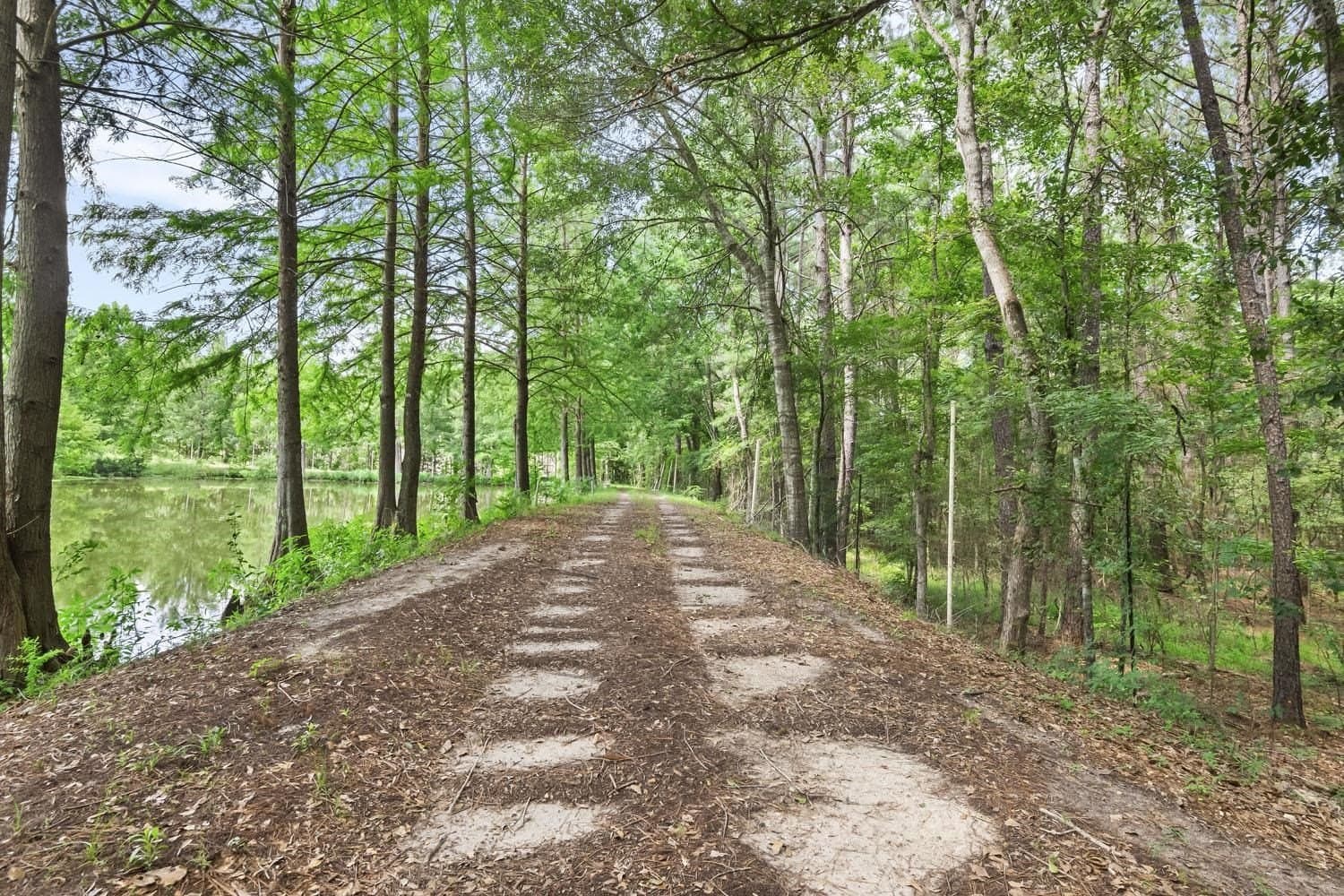 14.8 acres in Texas County - photo 22
