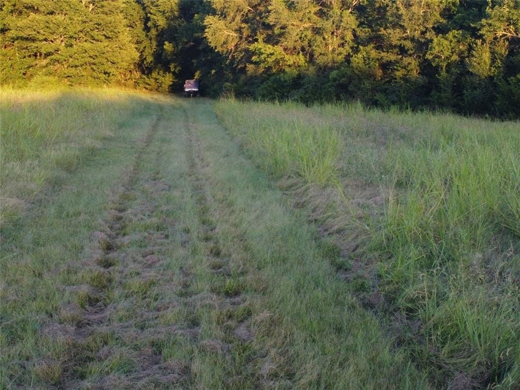 50.51 acres in Delta County - photo 27