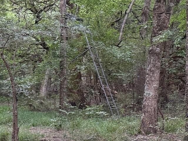 50.51 acres in Delta County - photo 14