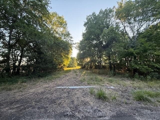 50.51 acres in Delta County - photo 7