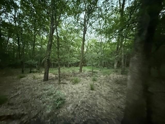 50.51 acres in Delta County - photo 13