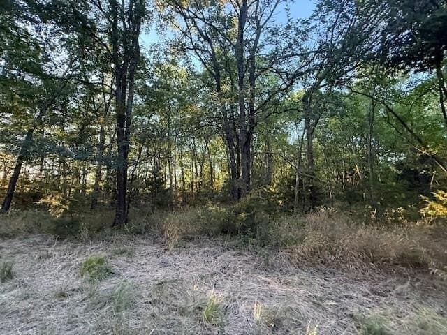 50.51 acres in Delta County - photo 22