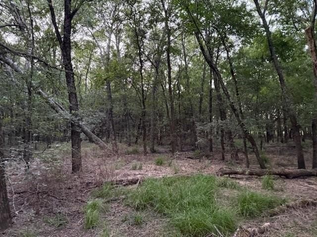 50.51 acres in Delta County - photo 12