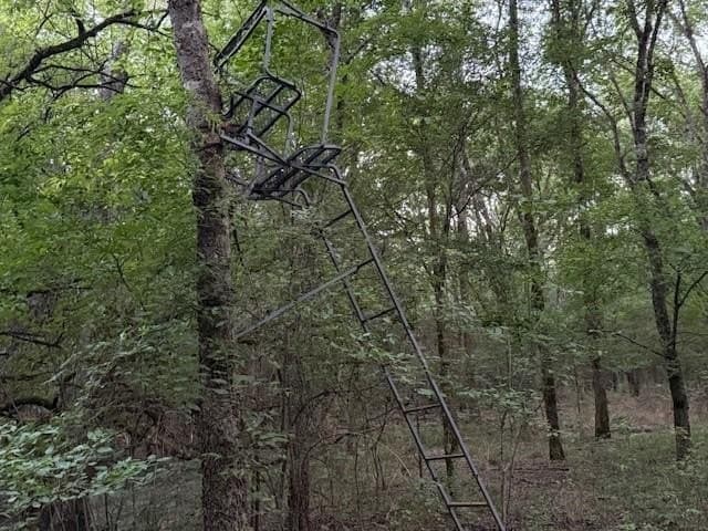 50.51 acres in Delta County - photo 15