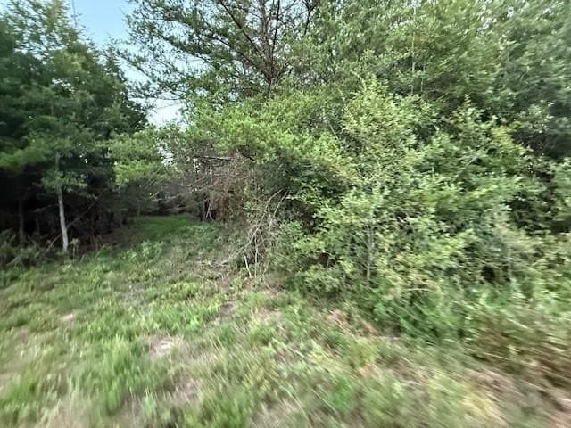 50.51 acres in Delta County - photo 10