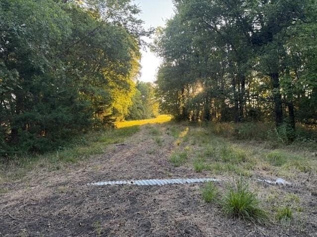 50.51 acres in Delta County - photo 8