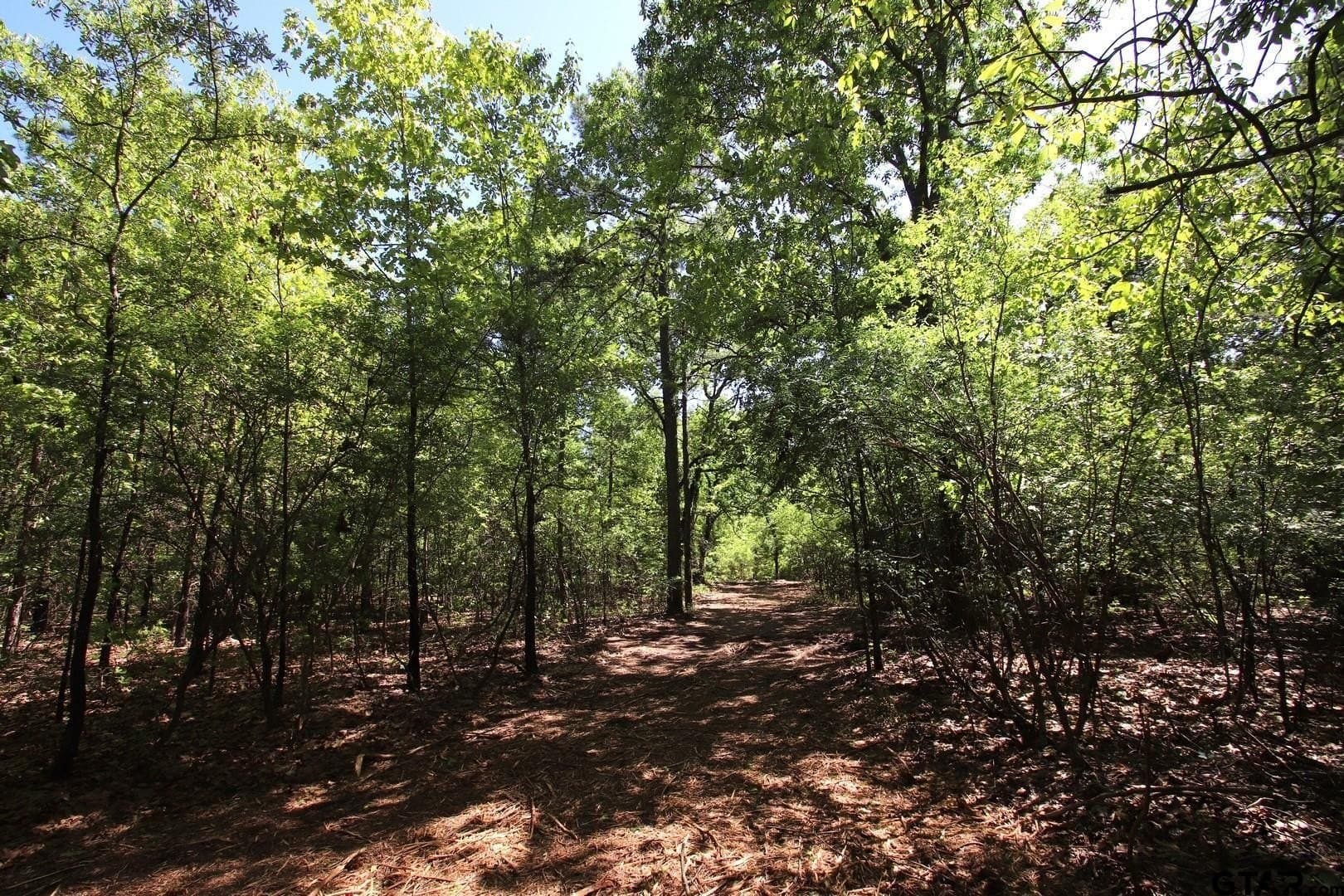40 acres in Wood County - photo 10