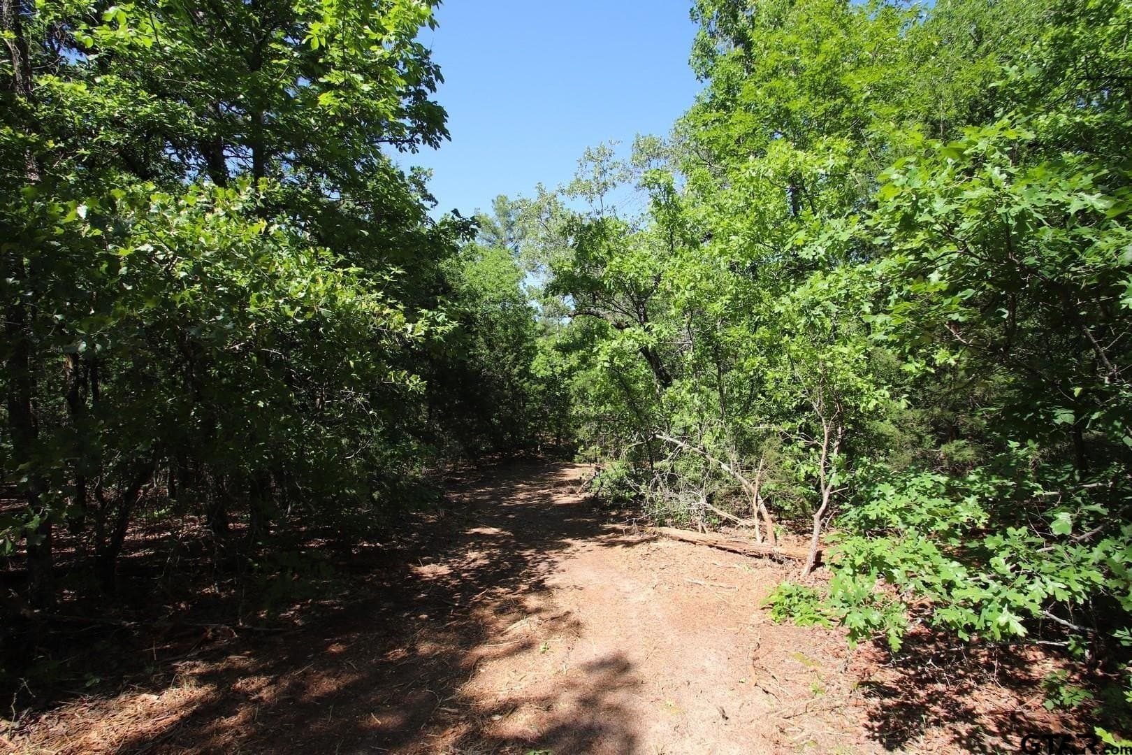 40 acres in Wood County - photo 26