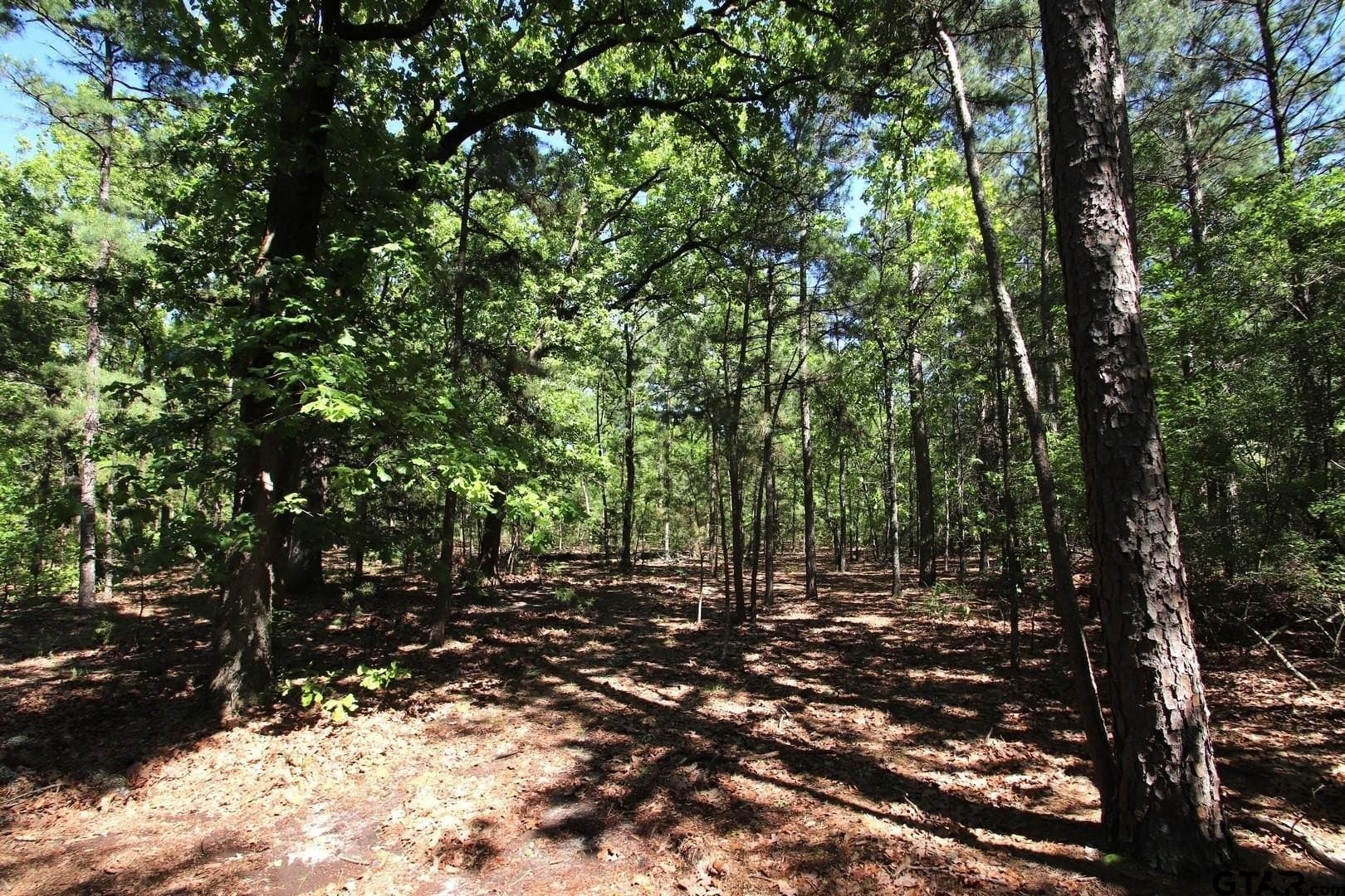 40 acres in Wood County - photo 30