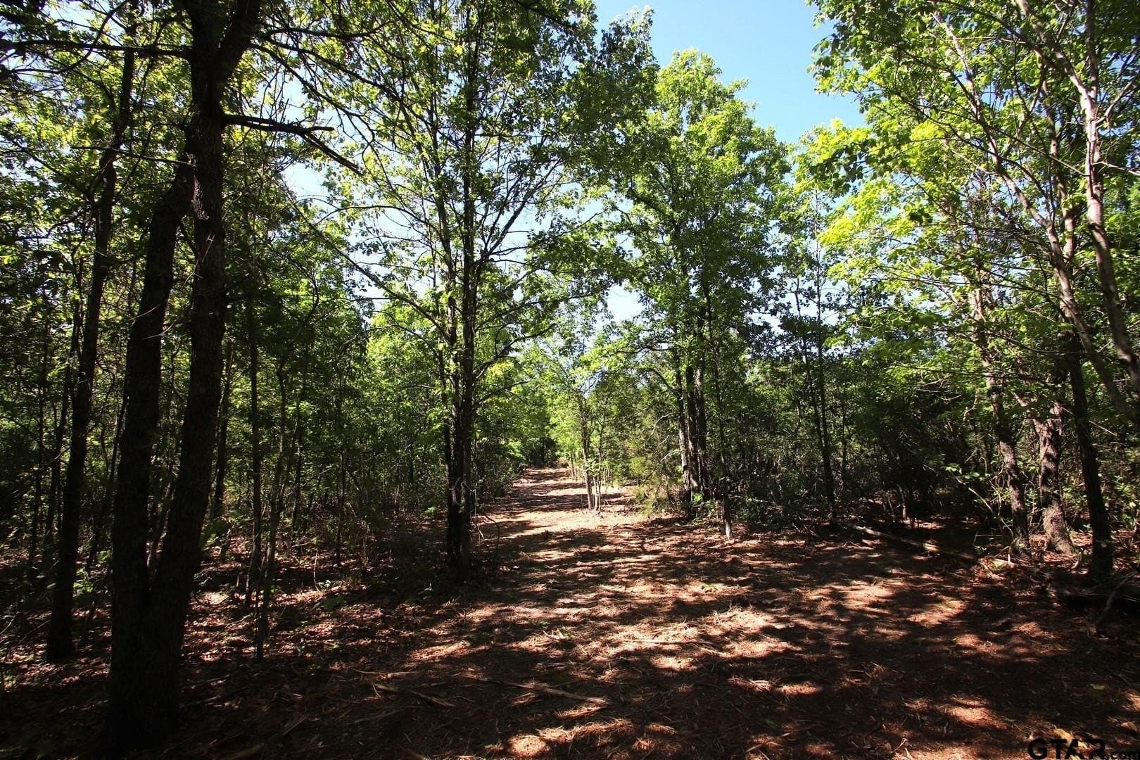 40 acres in Wood County - photo 18
