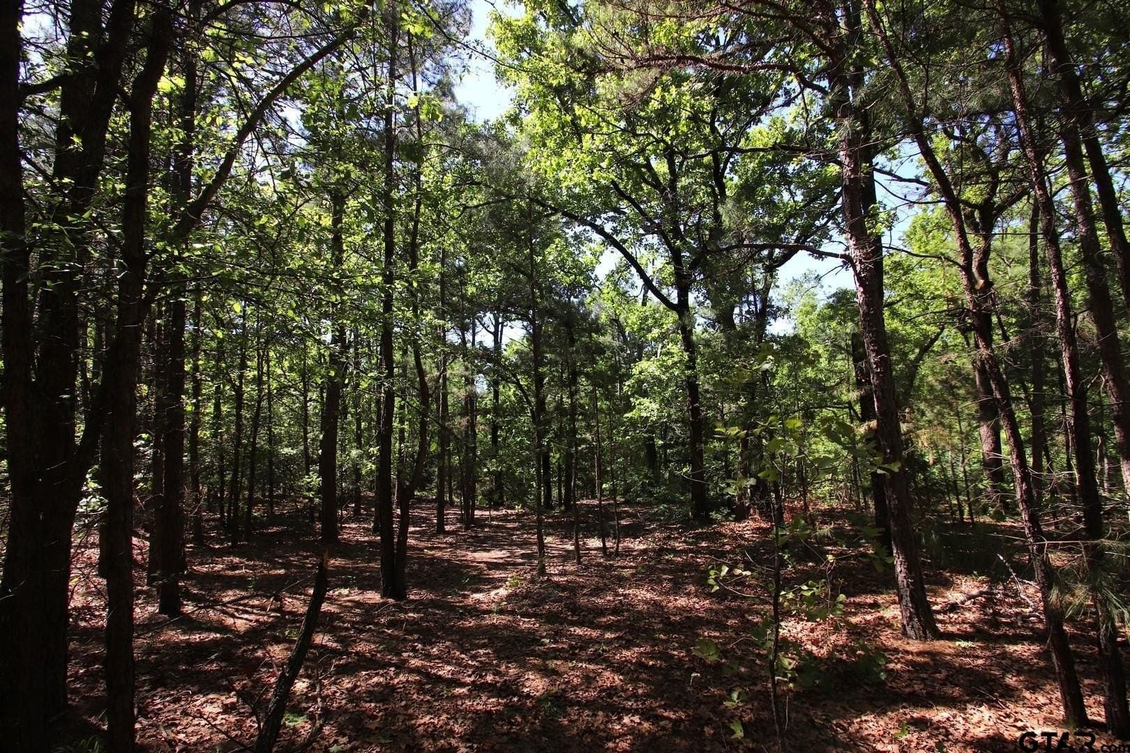 40 acres in Wood County - photo 31