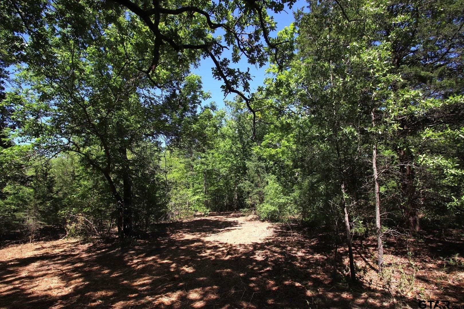 40 acres in Wood County - photo 8