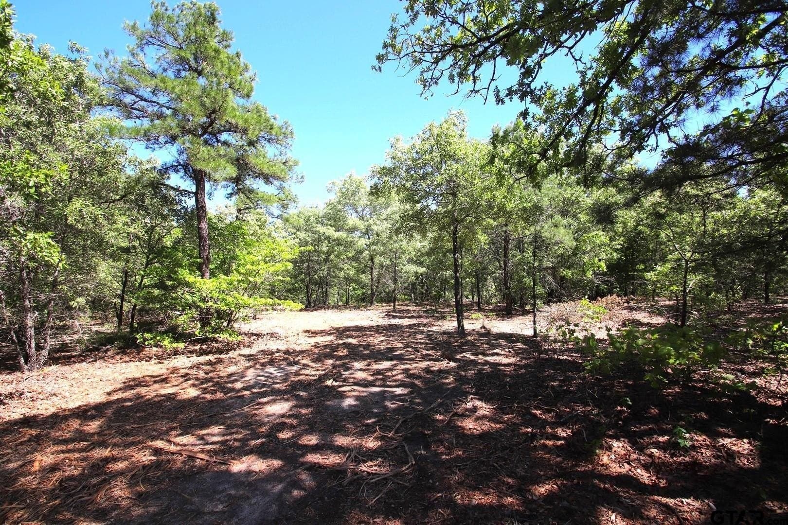 40 acres in Wood County - photo 4