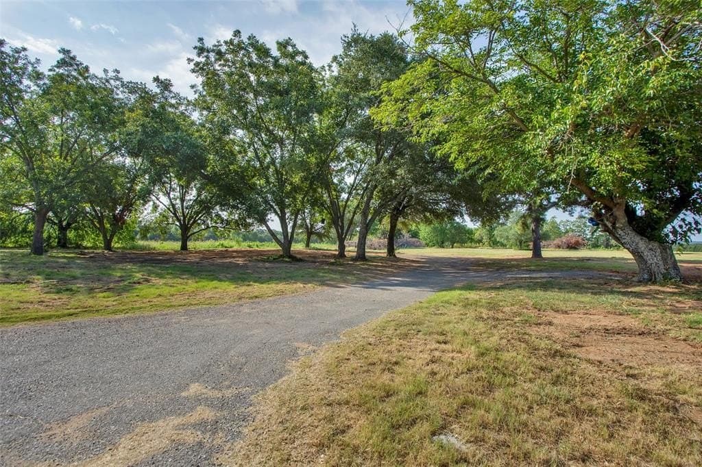 11.88 acres in Grayson County - photo 13