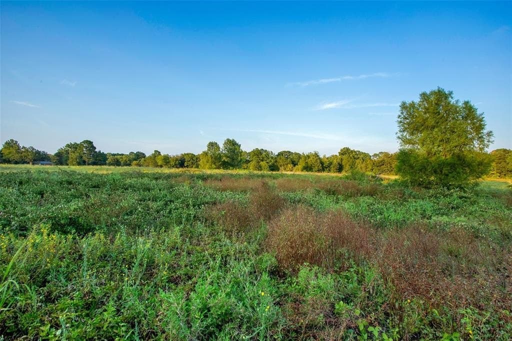 11.88 acres in Grayson County - photo 19