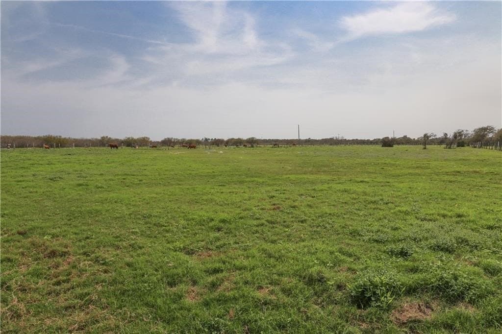 87.26 acres in Nueces County - photo 14