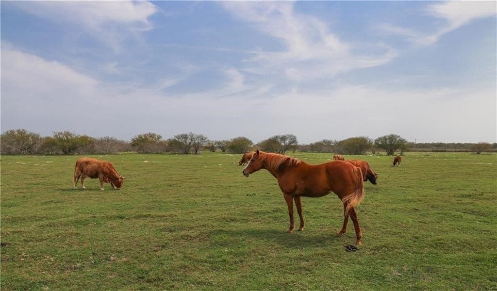 87.26 acres in Nueces County - photo 9