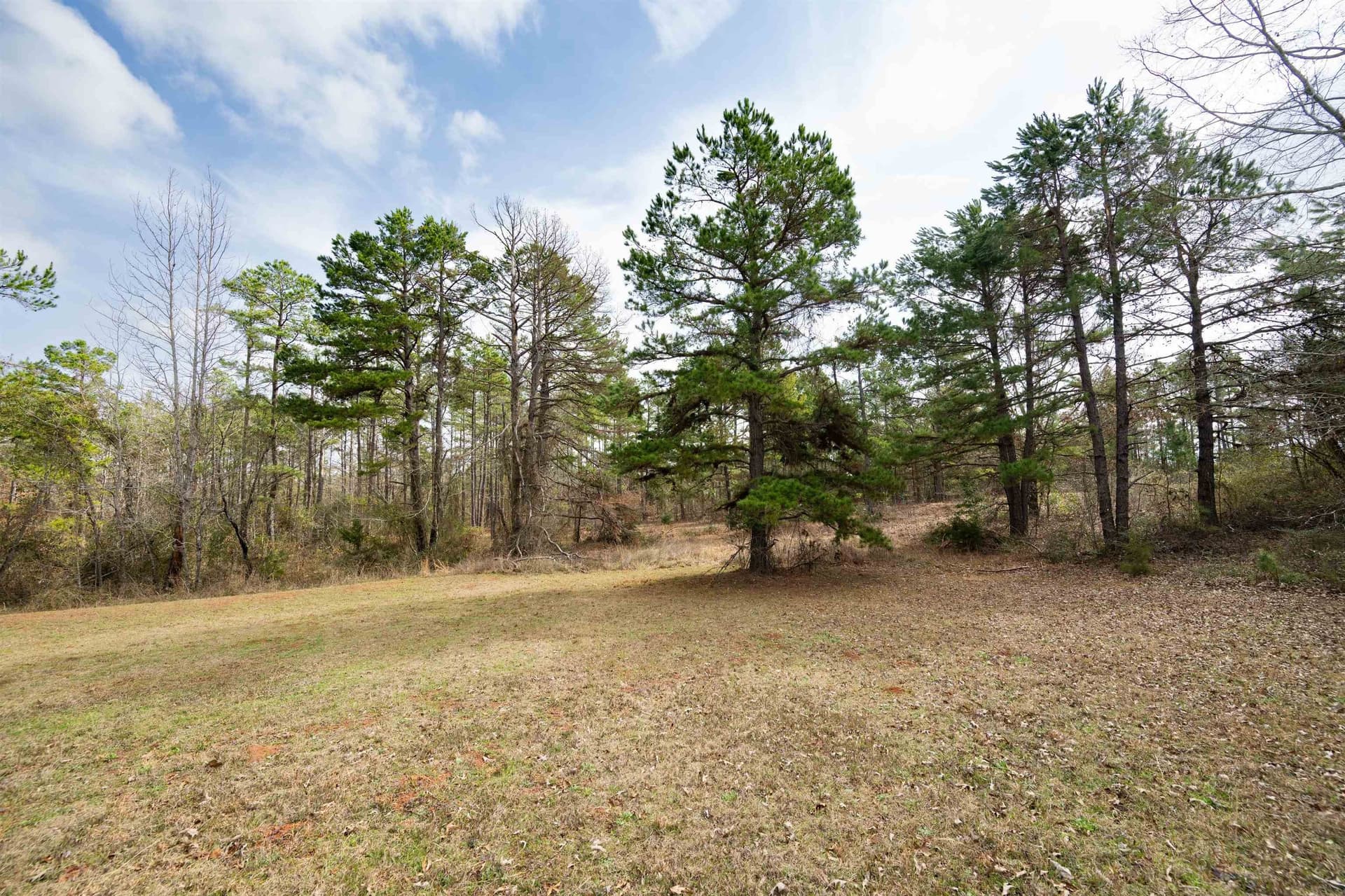 10.94 acres in Gregg County - photo 11