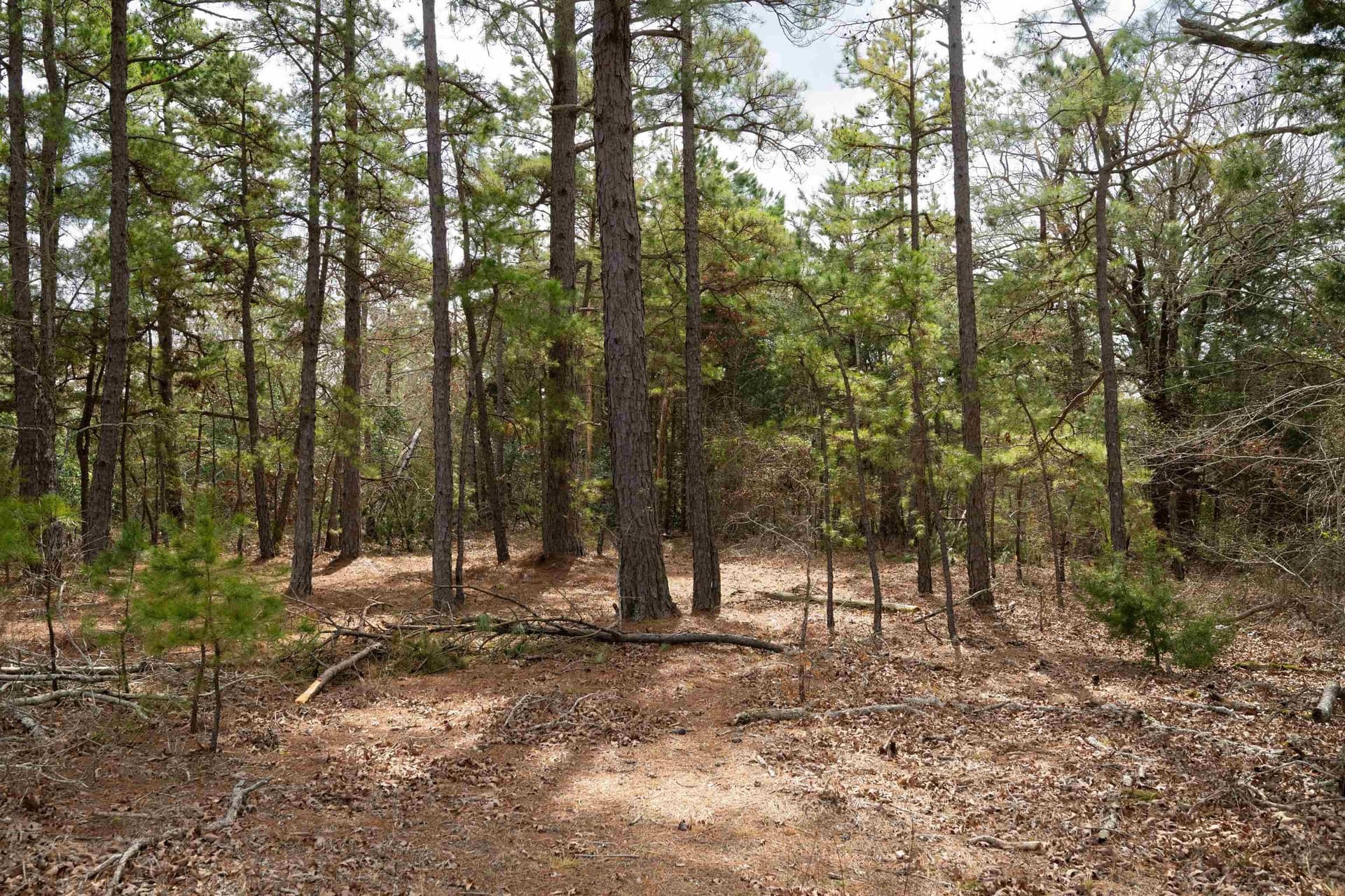 10.94 acres in Gregg County - photo 7
