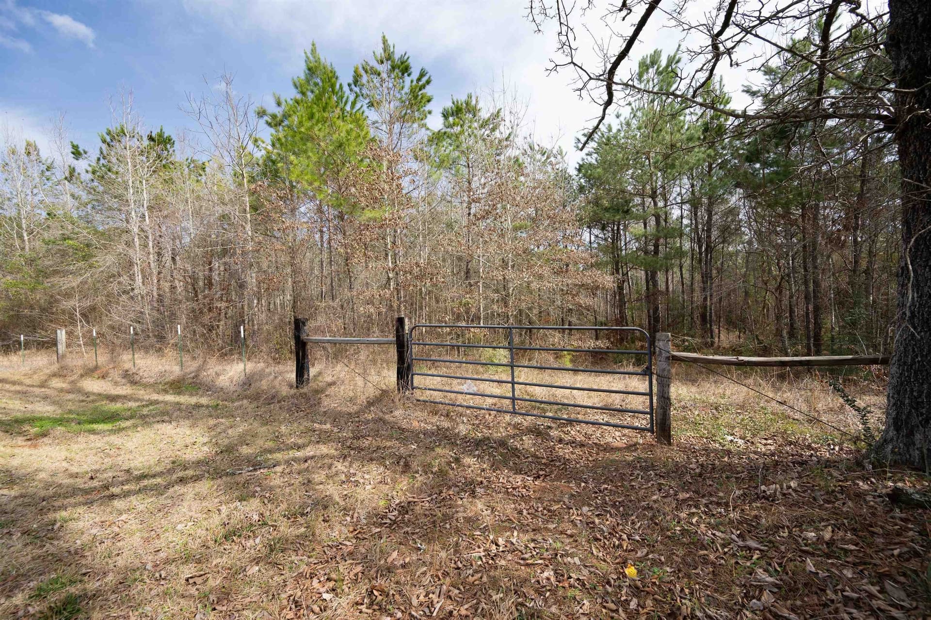 10.94 acres in Gregg County - photo 12