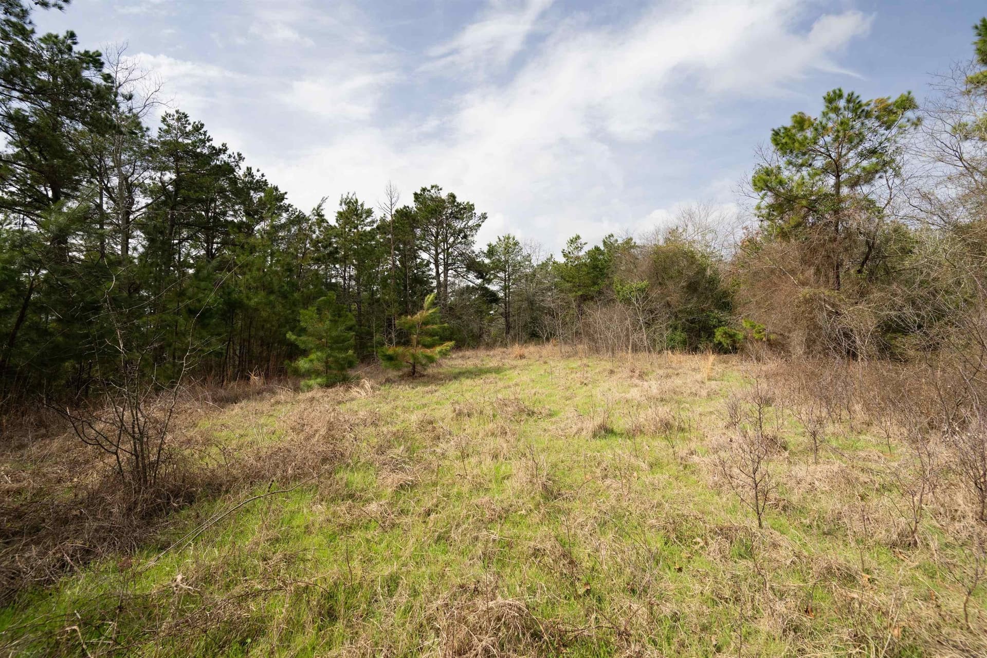 10.94 acres in Gregg County - photo 3
