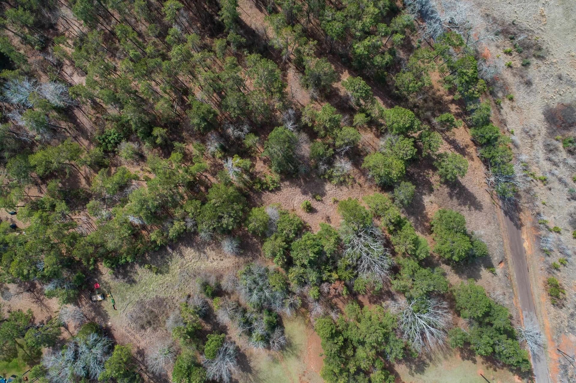 10.94 acres in Gregg County - photo 8