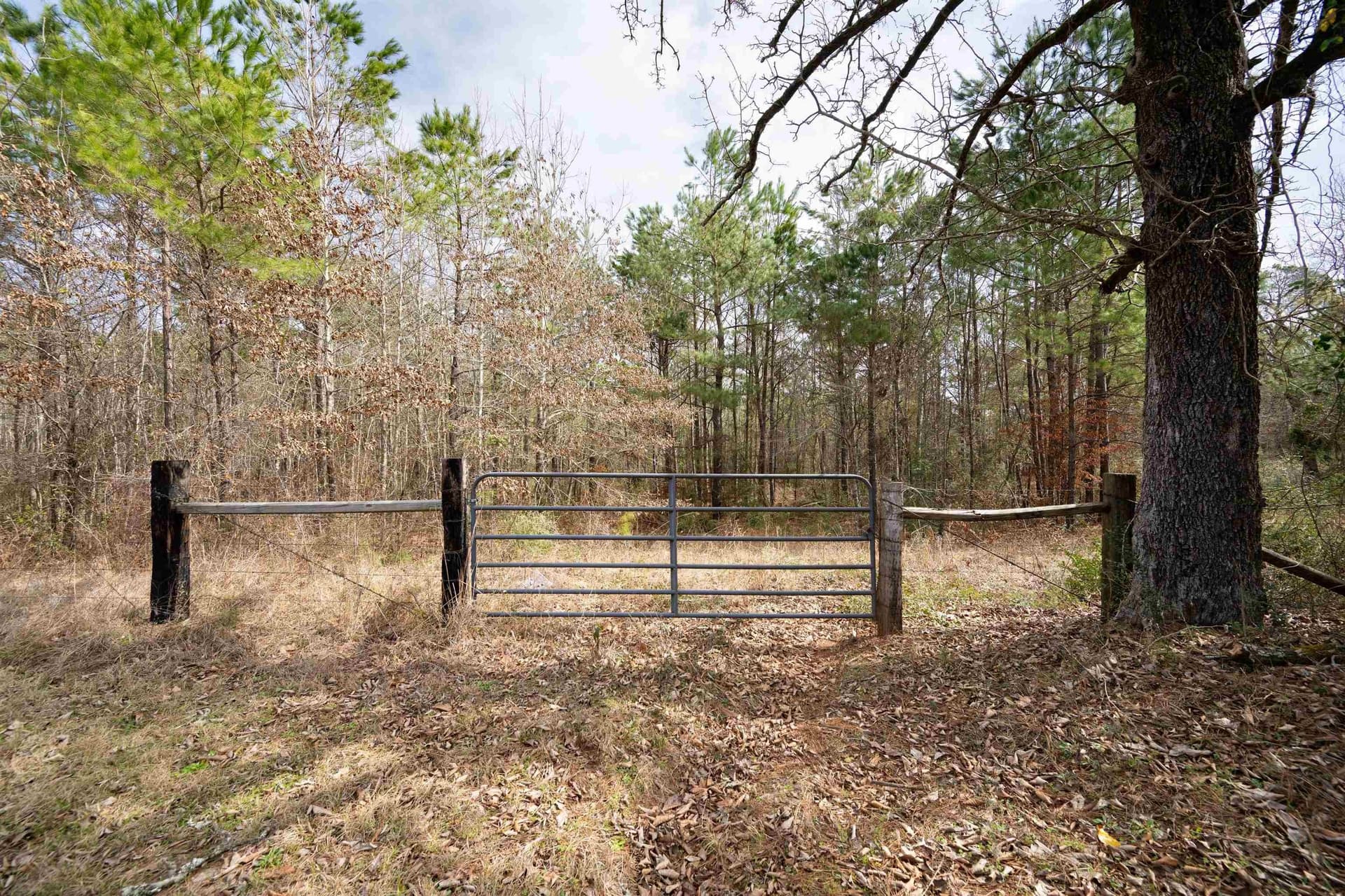 10.94 acres in Gregg County - photo 2
