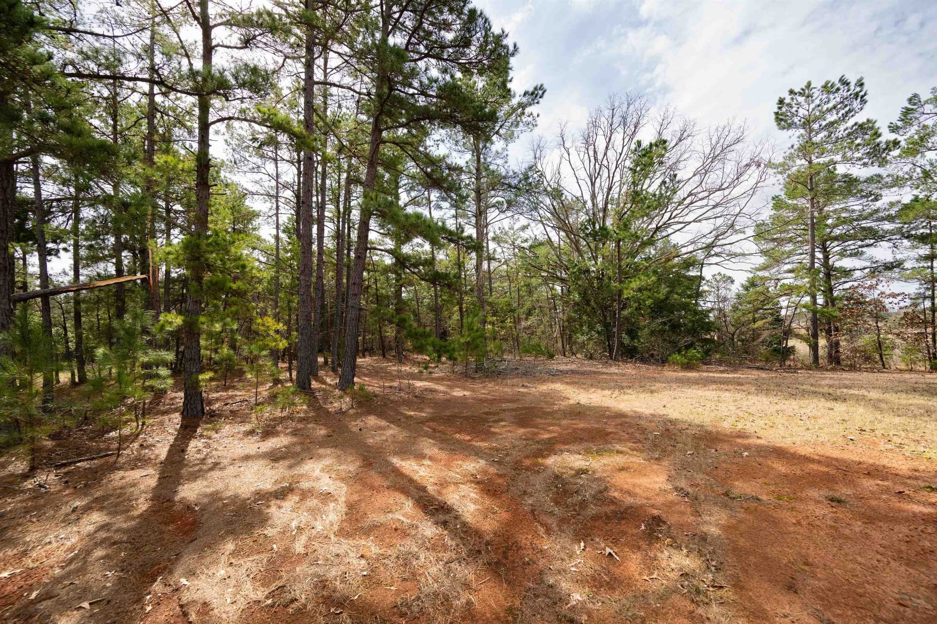 10.94 acres in Gregg County - photo 5