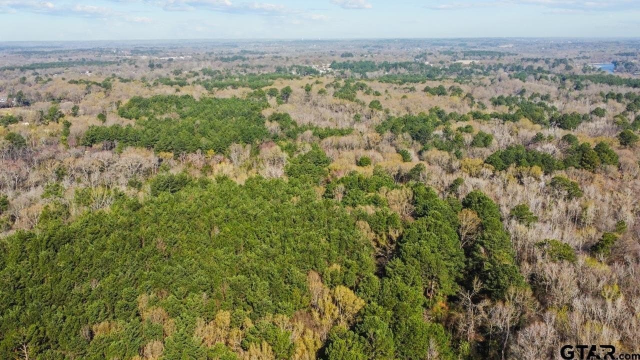 56 acres in Smith County - photo 4
