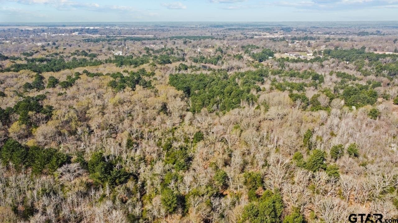 56 acres in Smith County - photo 9