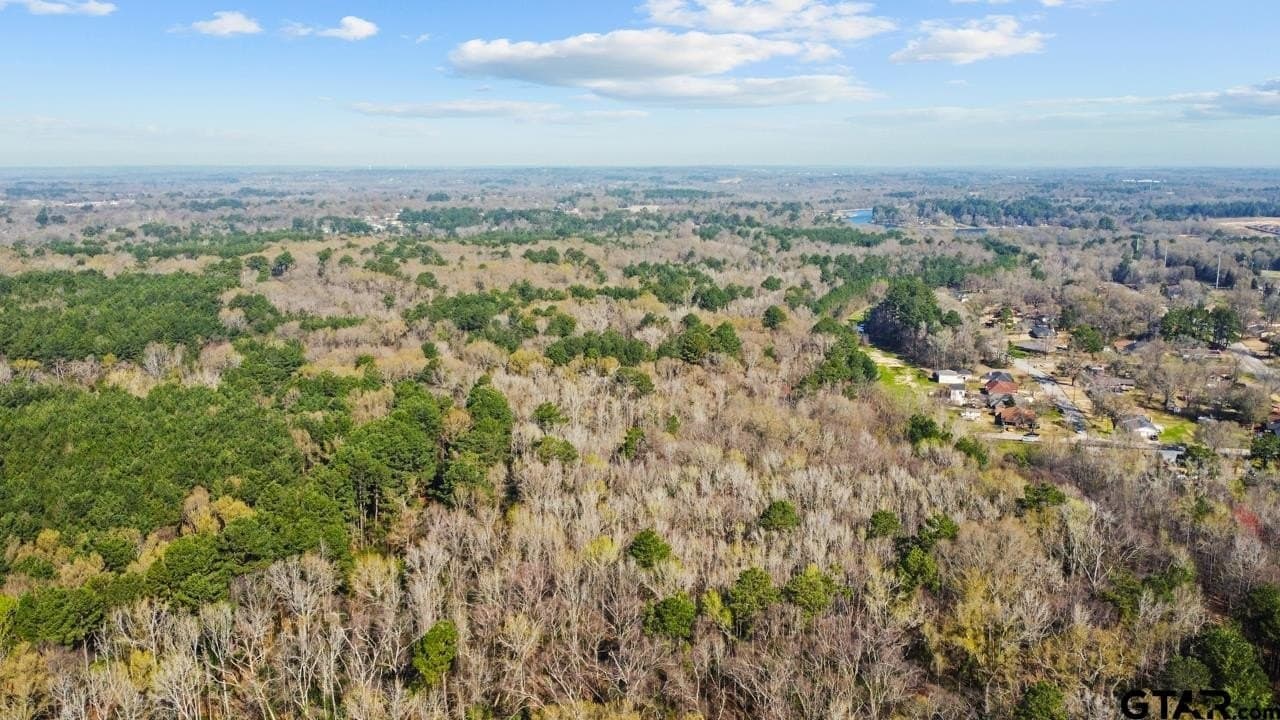 56 acres in Smith County - photo 3