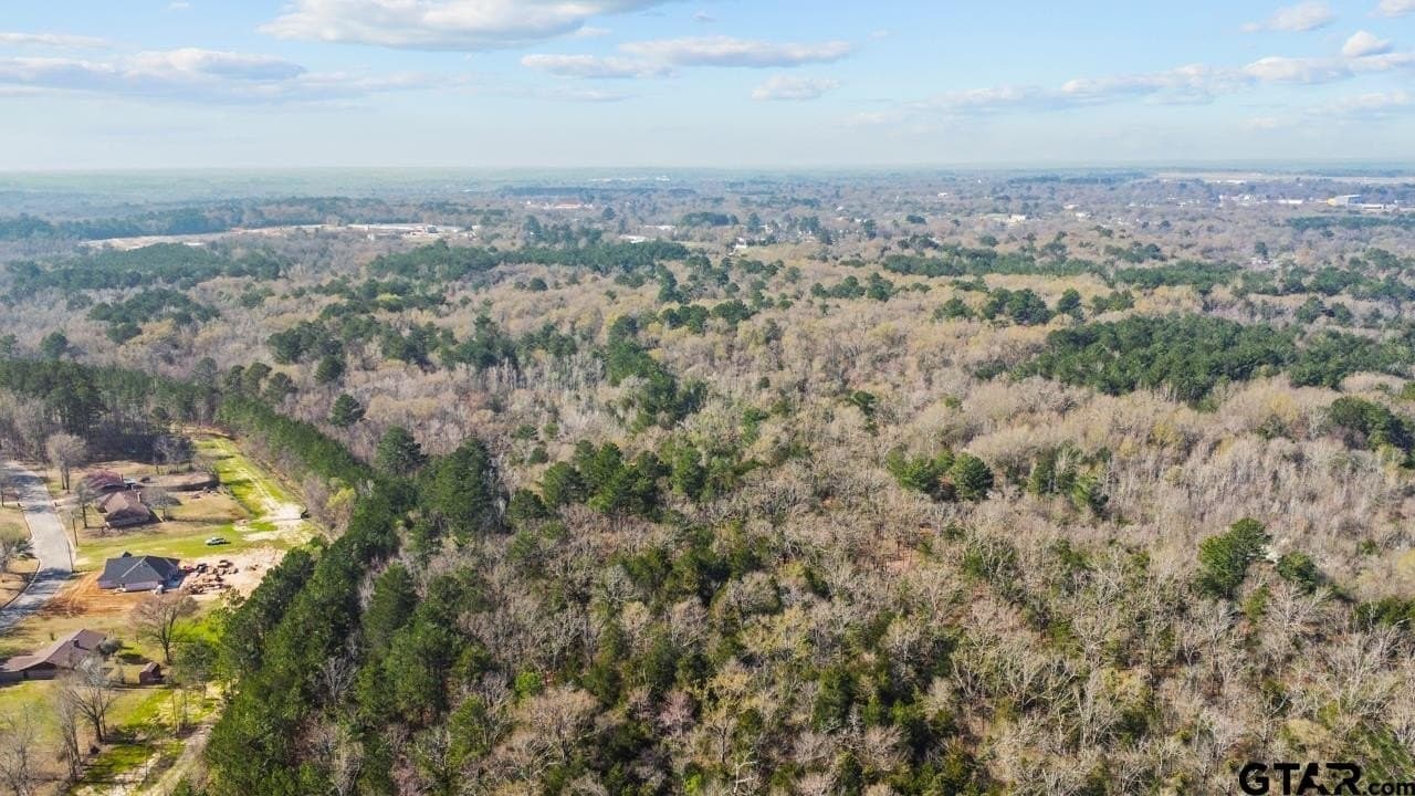 56 acres in Smith County - photo 7