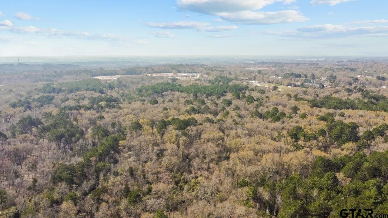 56 acres in Smith County - photo 8