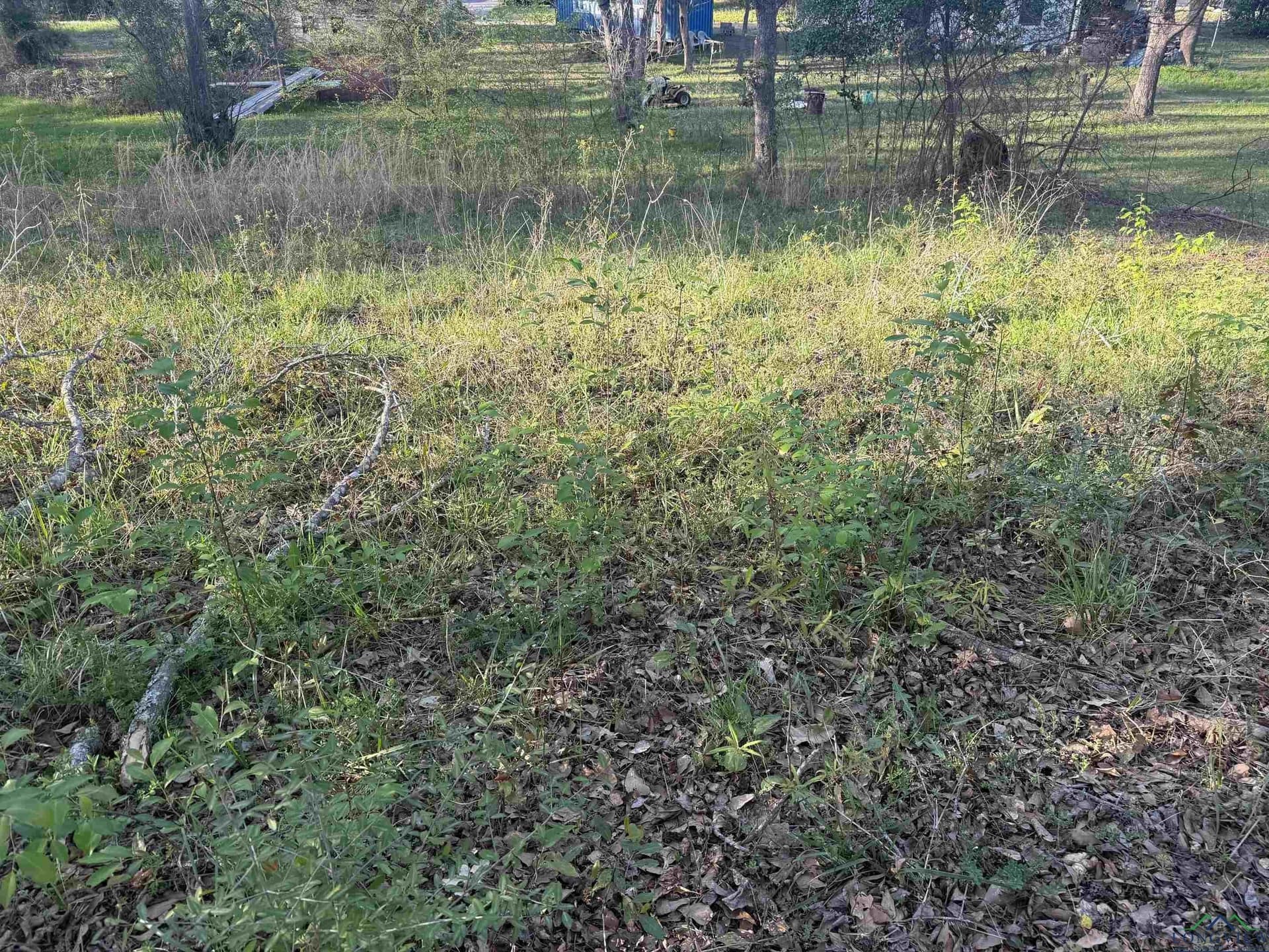 0.14 acres in Upshur County - photo 4