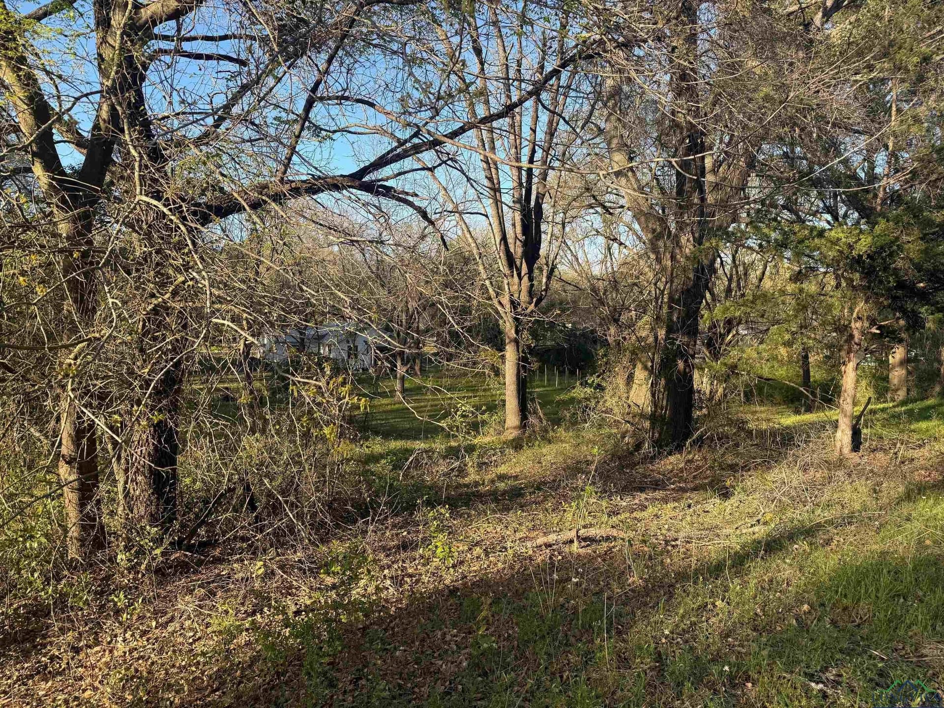 0.14 acres in Upshur County - photo 2