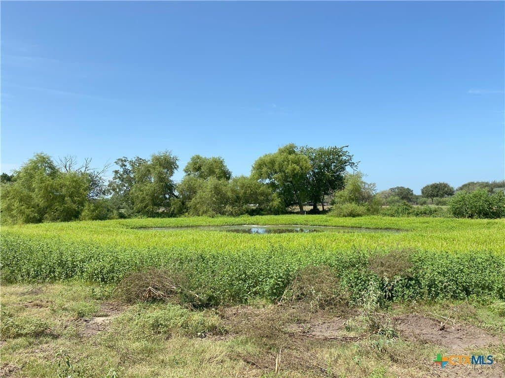 41.72 acres in Lavaca County - photo 27