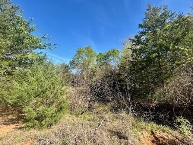 9.05 acres in Leon County - photo 14