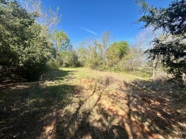 9.05 acres in Leon County - photo 11