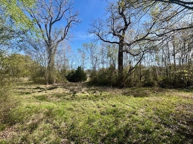 9.05 acres in Leon County - photo 8