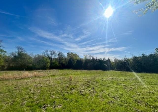 9.05 acres in Leon County - photo 16