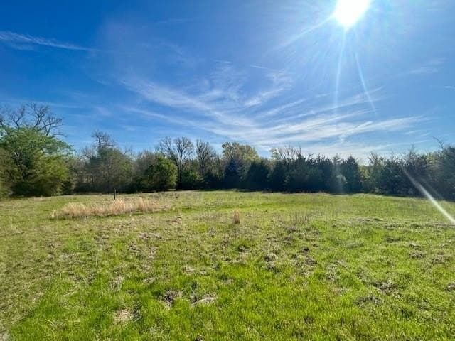 9.05 acres in Leon County - photo 15